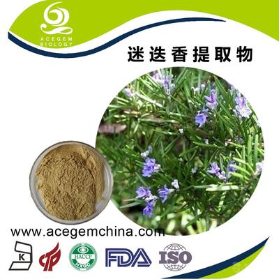 專業(yè)迷迭香提取物 中國蕪湖艾森格，天然香料的卓越之選