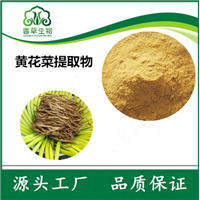 寧夏基地黃花菜 實力廠家精粹天然香料與純粉