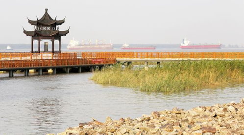 激活文化遺產(chǎn),融合產(chǎn)業(yè)發(fā)展 五彩沙洲 杯文創(chuàng)旅游商品設(shè)計(jì)大賽即日啟動(dòng)